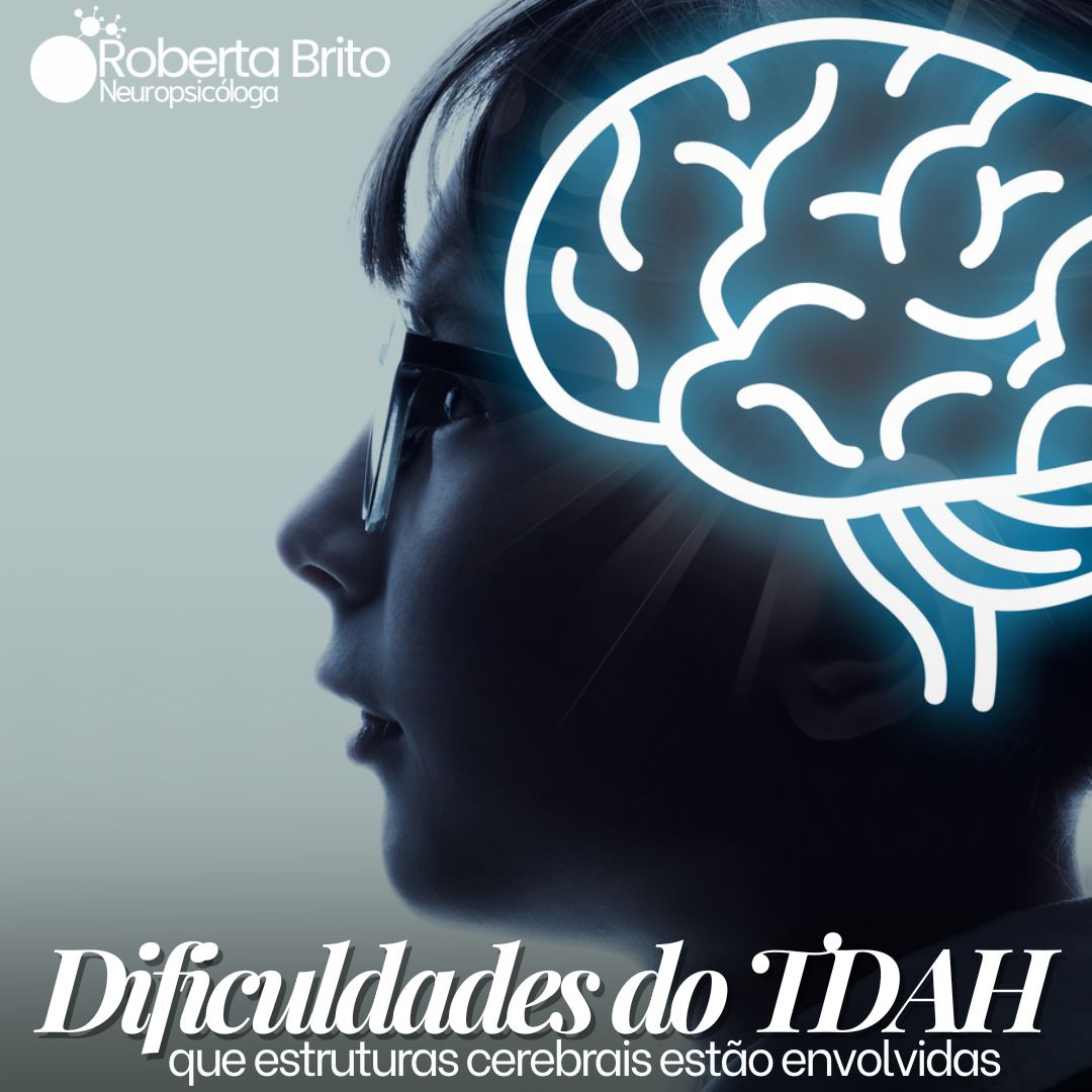 Dificuldades TDAH-estruturas cerebrais envolvidas